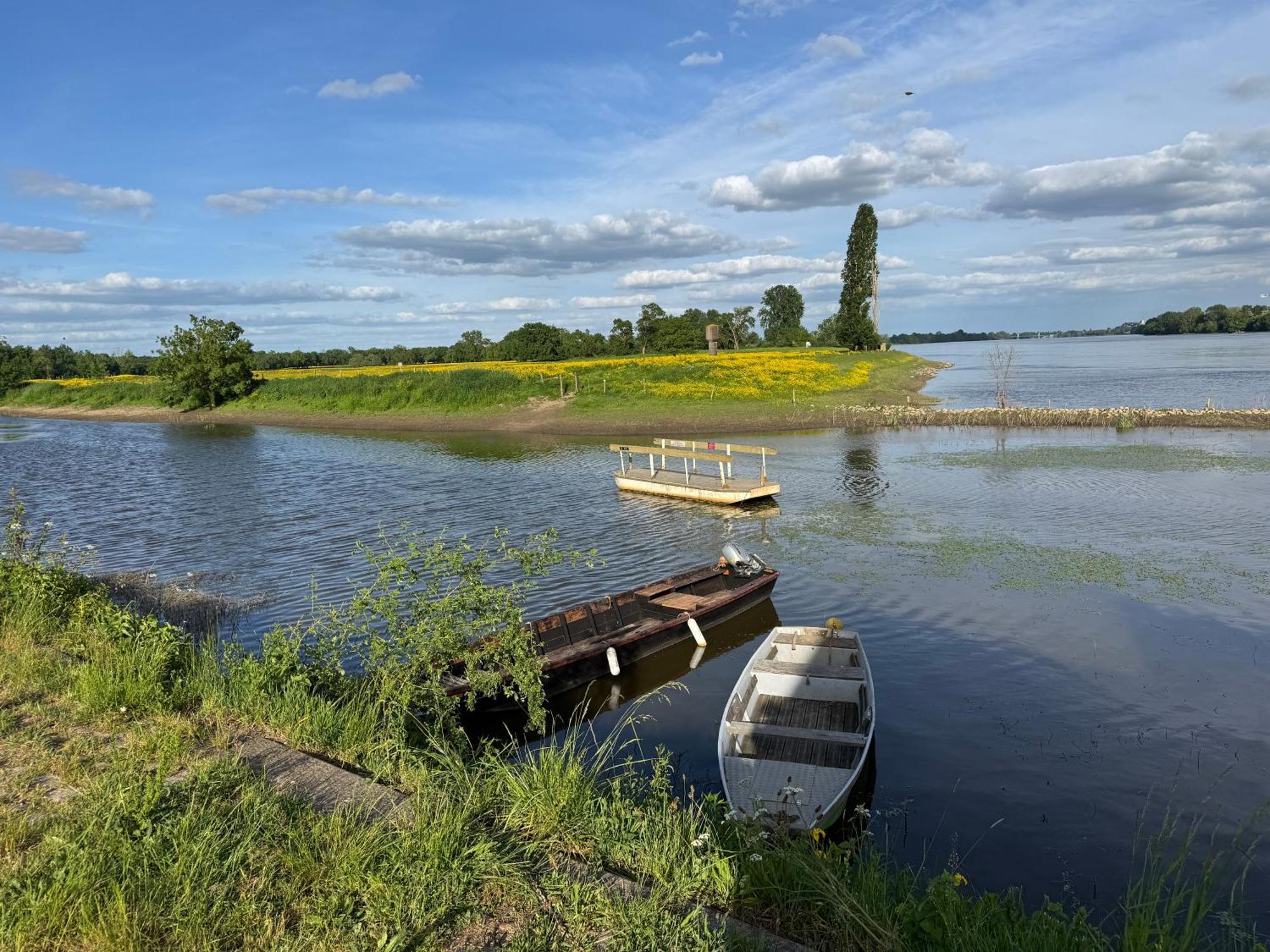 Gite Loirizon Vue Loire 4 Personnes Ingrandes  エクステリア 写真